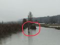 Debris on 124th Gage recession from super bowl flood.jpg